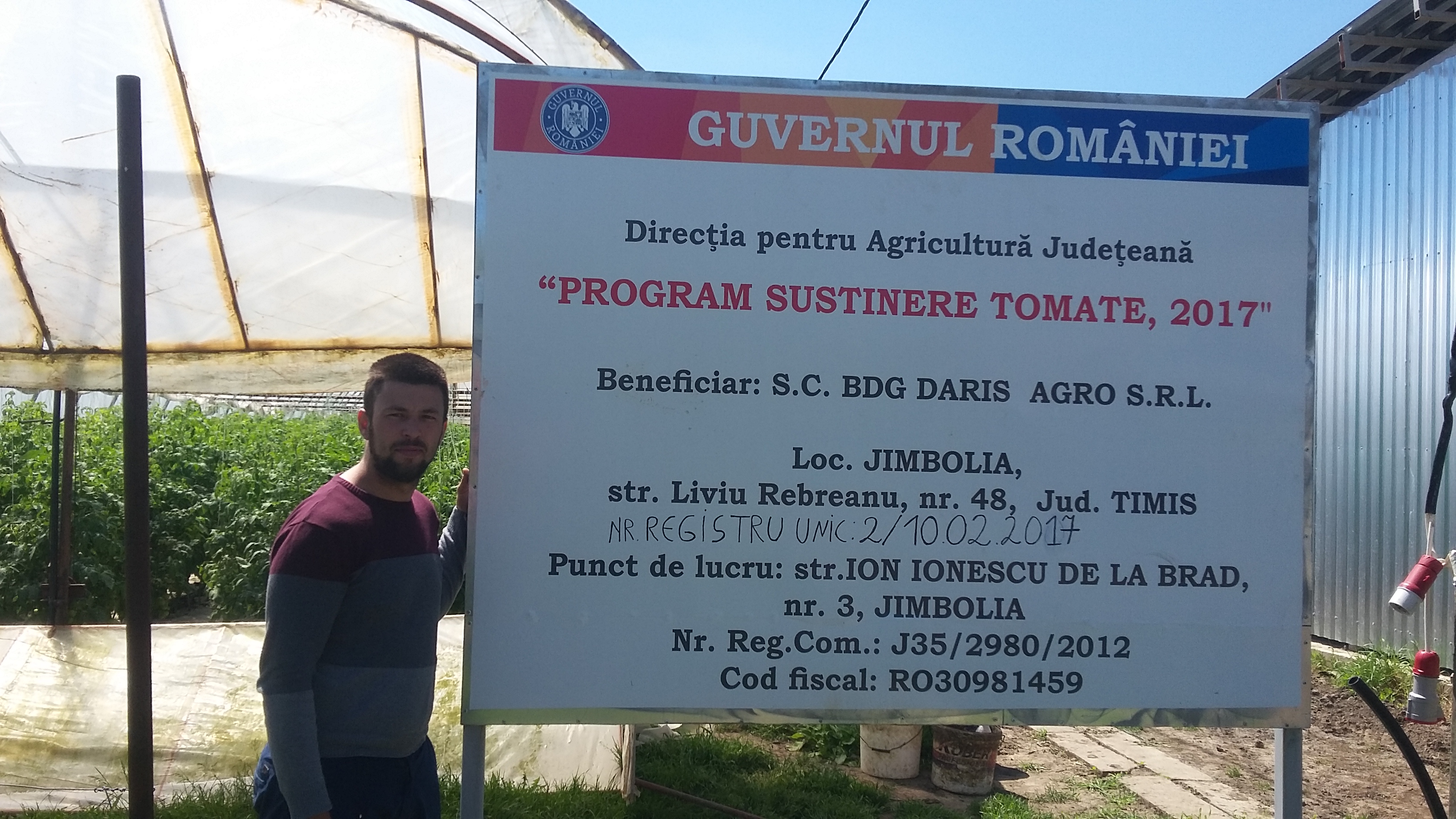 FOTO/ AUDIO/ Un timișean de 25 de ani a reușit să livreze în supermarket primele roșii românești cultivate la Jimbolia