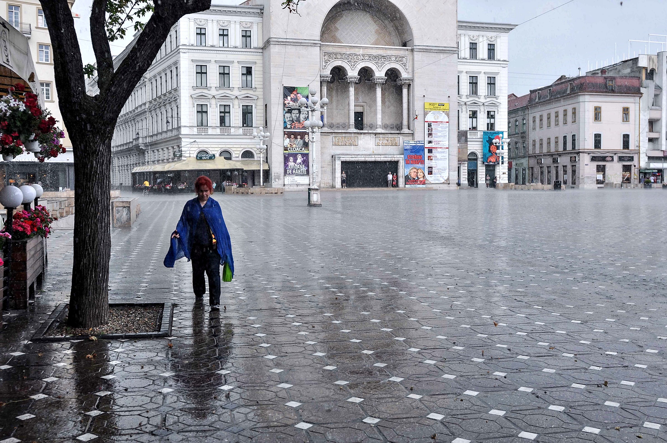 Meteorologii anunță ploi torențiale și intensificări de vânt în vestul țării