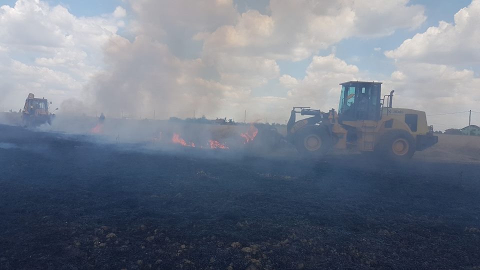 Incendiile de vegetație uscată provoacă probleme în Timiș