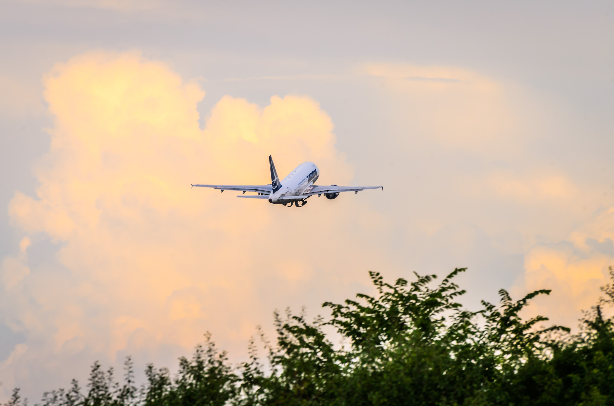 Luna iulie a adus un nou record de pasageri pe Aeroportul din Timișoara. Noi destinații din toamnă