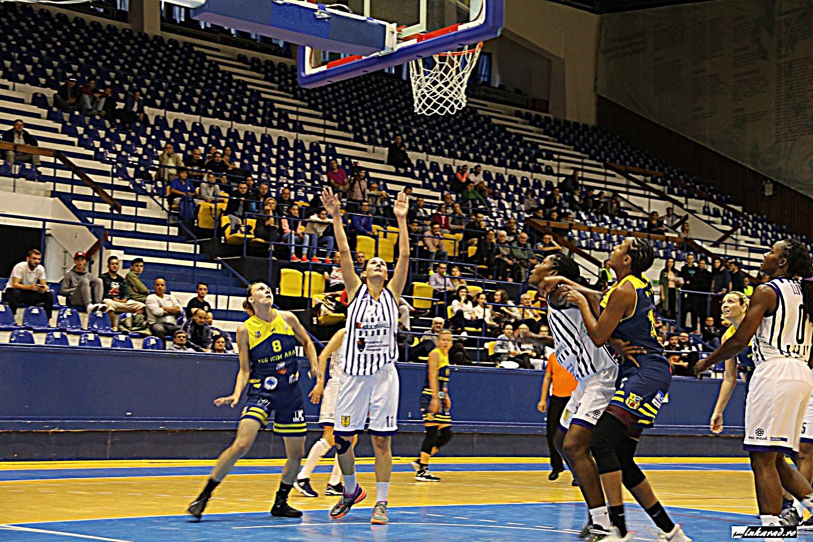 Liga Naţională de baschet feminin, gata de start! ICIM şi SCM Timişoara încep pe teren propriu