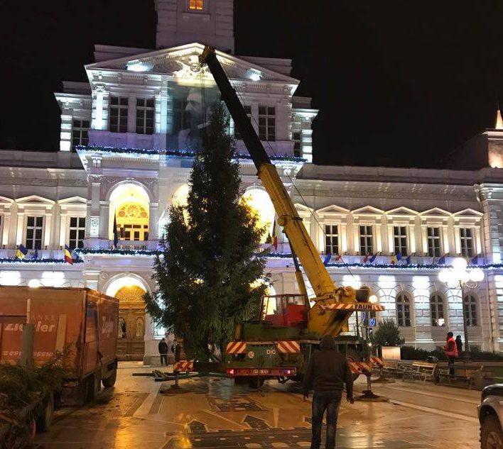 Bradul de Crăciun a ajuns la Arad