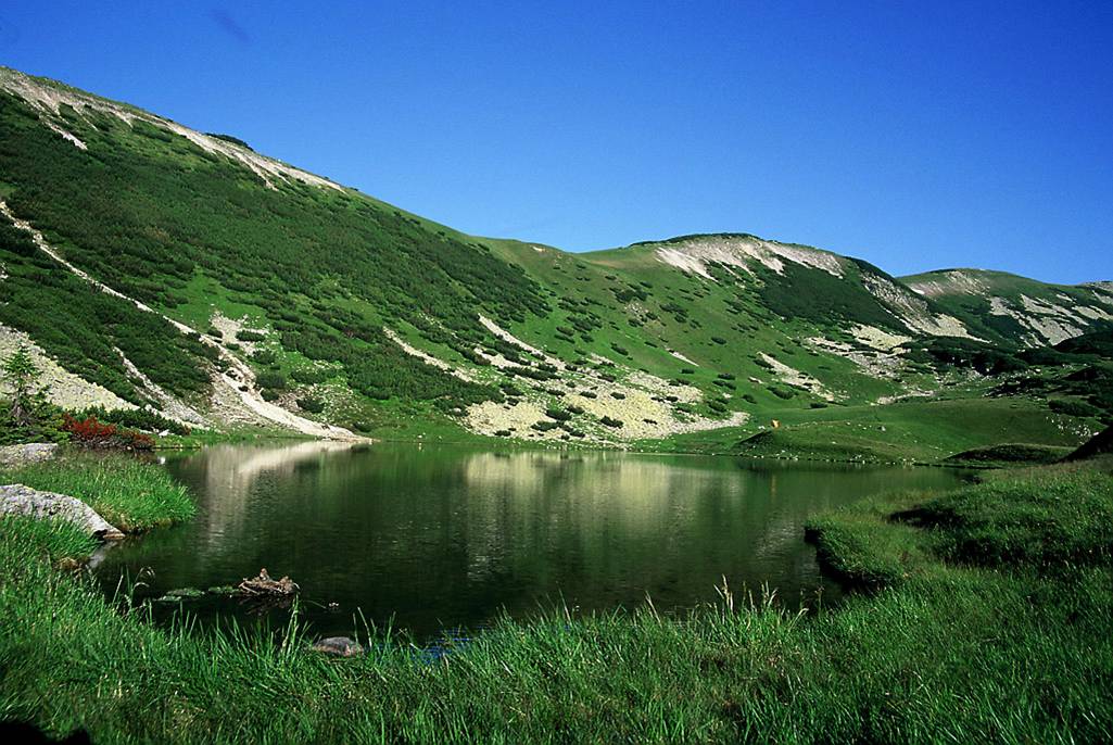 Locuitorii din zona Muntelui Țarcu nu vor zonă de sălbăticie