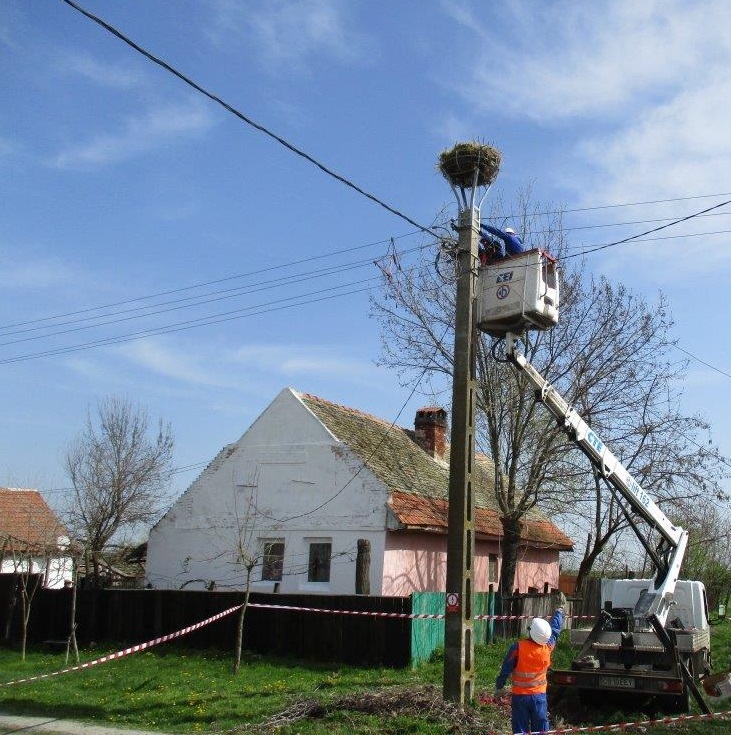 Zeci de suporturi pentru cuiburile de berze sunt montate în Timiș și Caraș-Severin. Aplicația “Uite barza” vine în ajutor