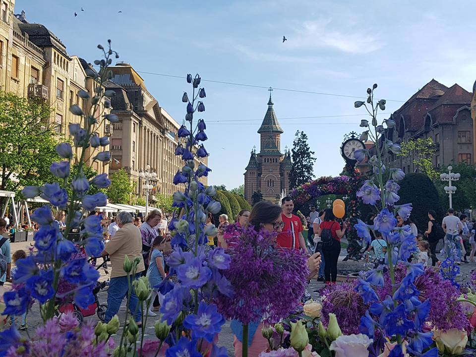 Vreme deosebit de caldă în vestul țării