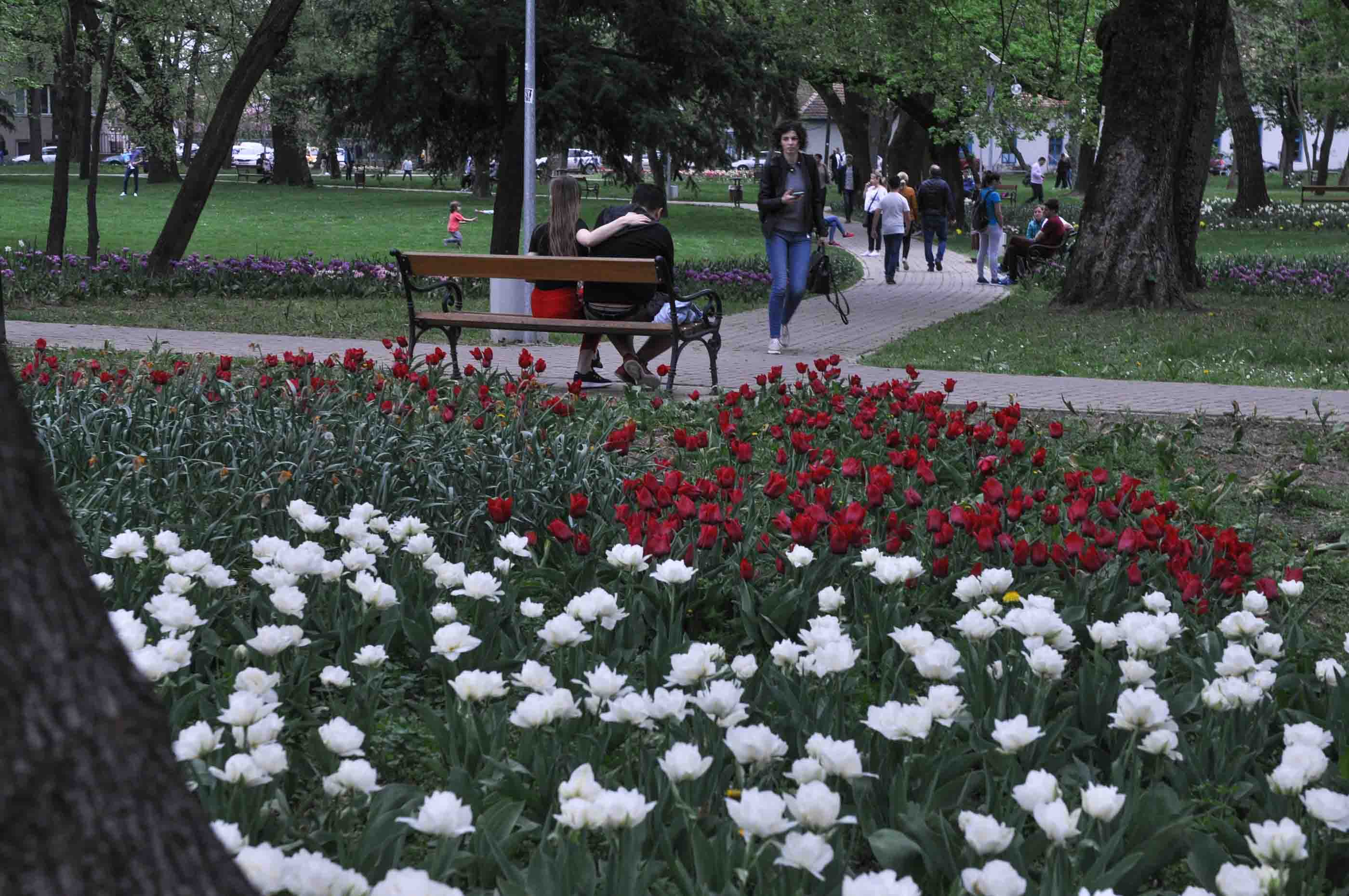 Vreme caldă cu averse locale