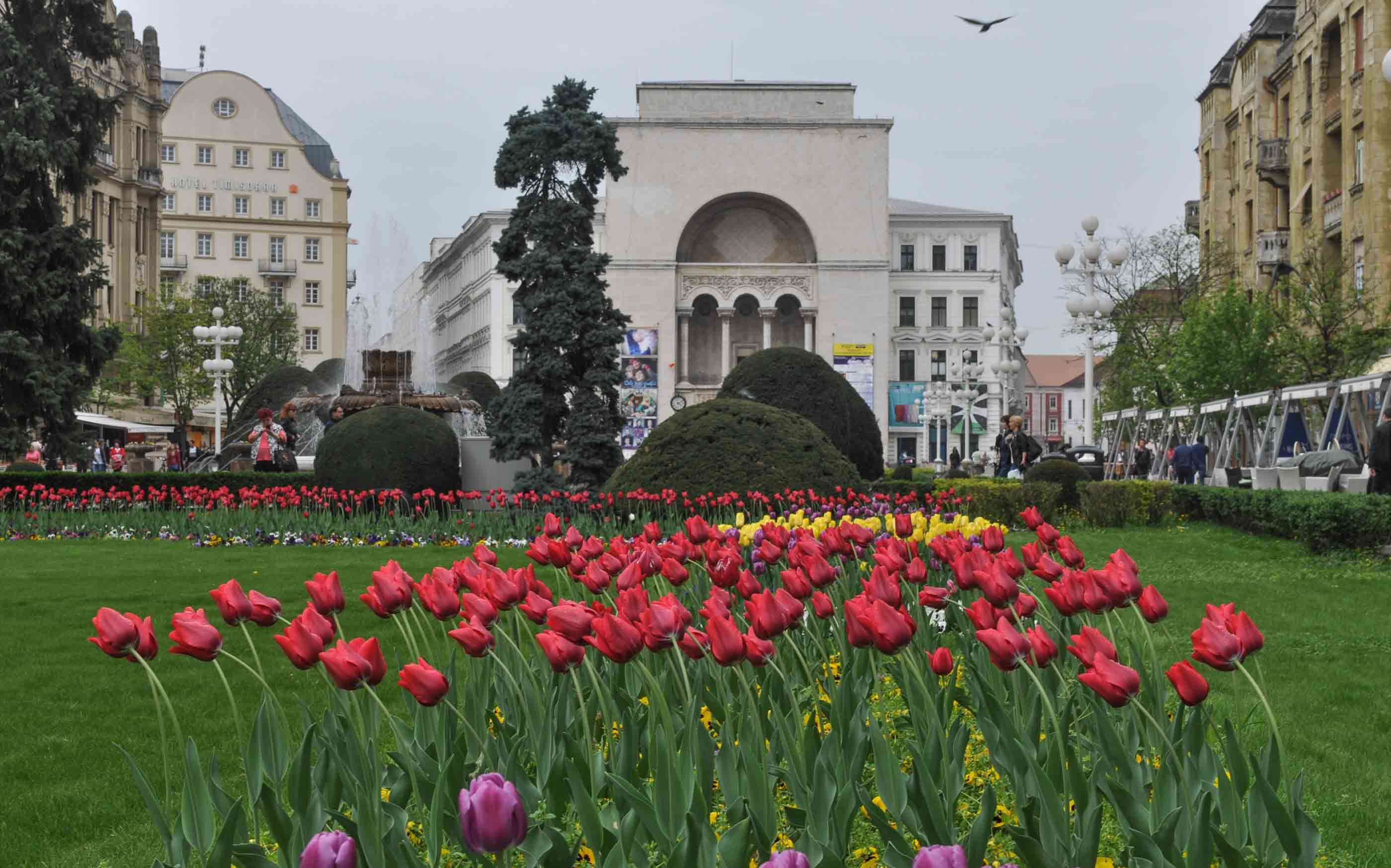 Vremea în Banat și Crișana