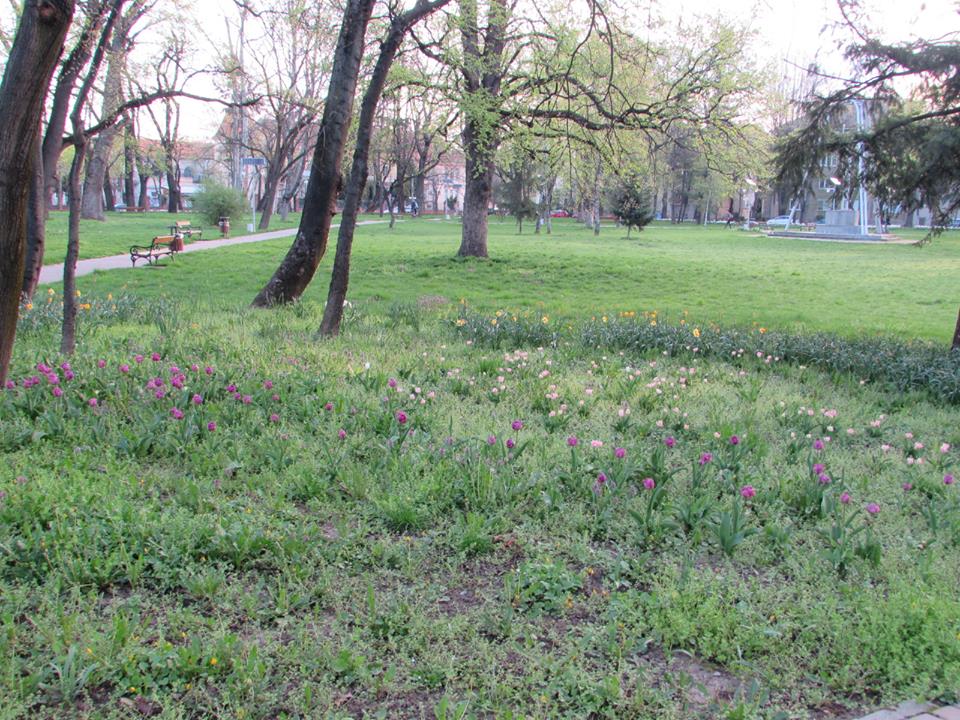 Modernizat cu o jumătate de milion de euro, Parcul Justiției din Timișoara și-a pierdut toată frumusețea