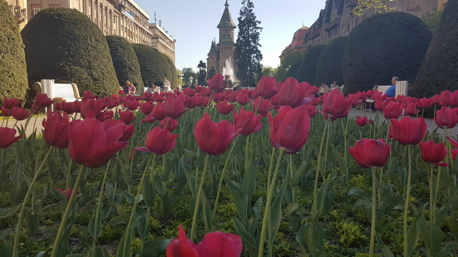 Vreme caldă în Banat și în Crișana