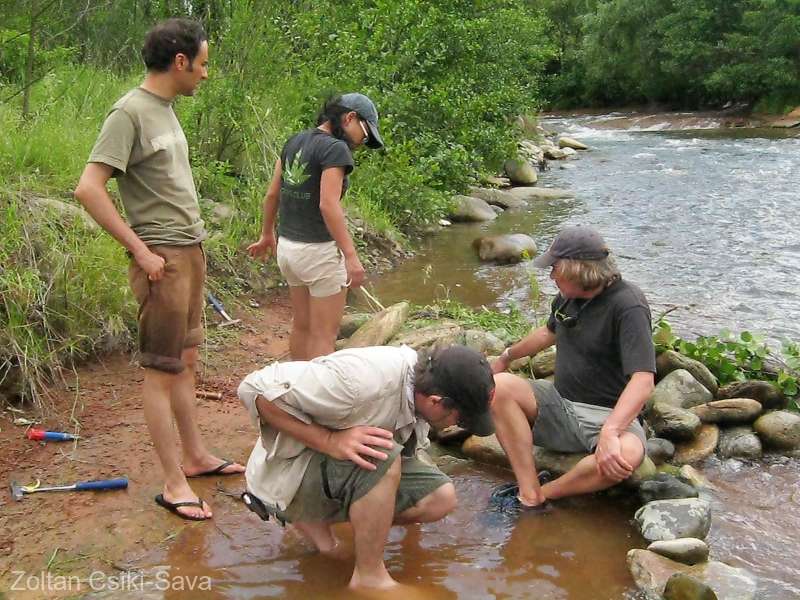 Fosilele unui mamifer preistoric, descoperite în Geoparcul Dinozaurilor Țara Hațegului