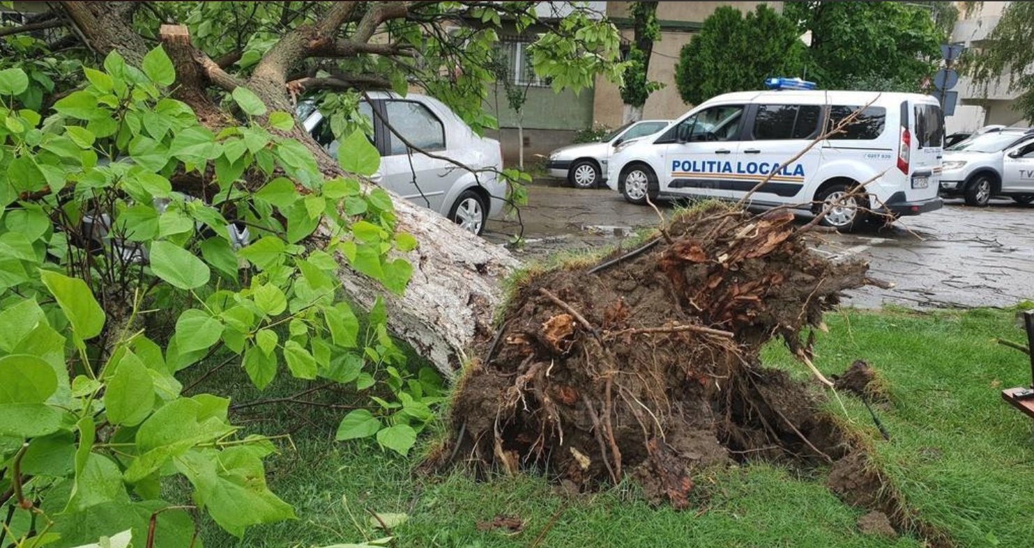 Rupere de nori în Arad. Furtuna a făcut ravagii