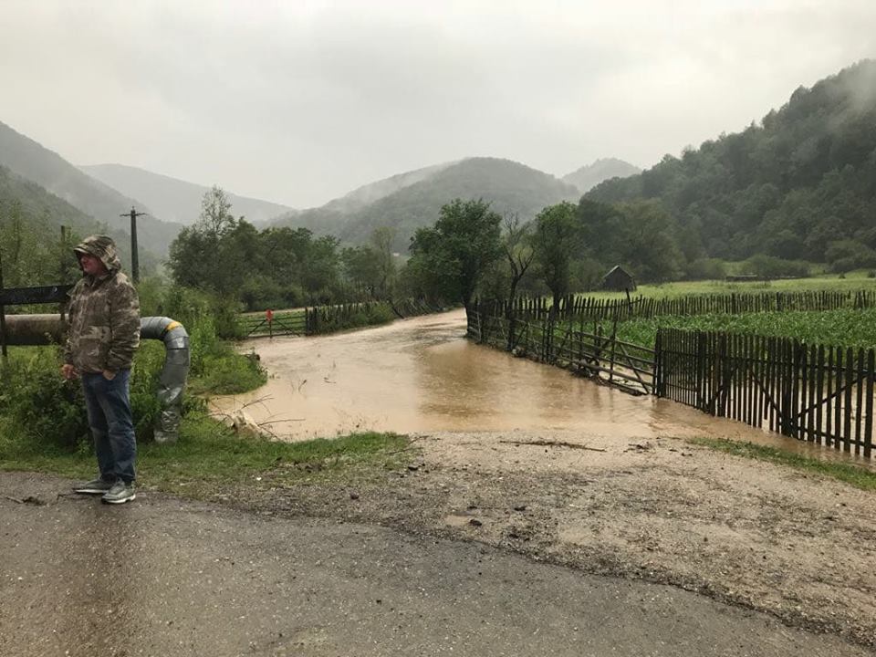 Alertă în Timiș. Mobilizare în localitățile amenințate de ape