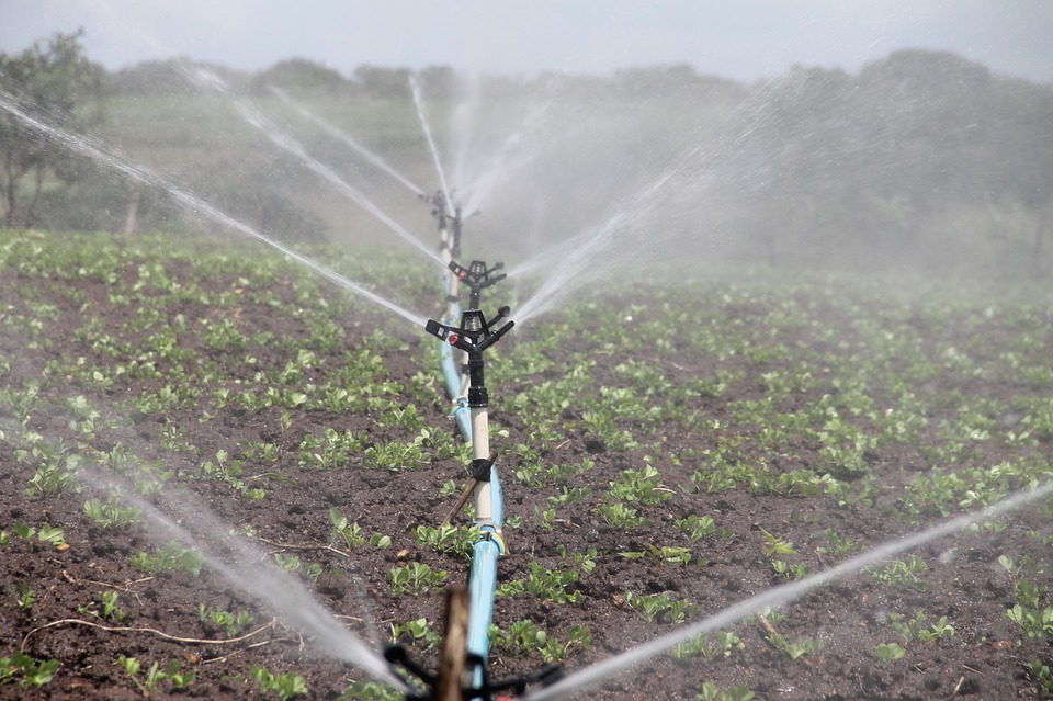 Terenurile agricole nu vor mai suferi din cauza secetei. Vestul țării nu se află însă în programul de reabilitare a irigațiilor