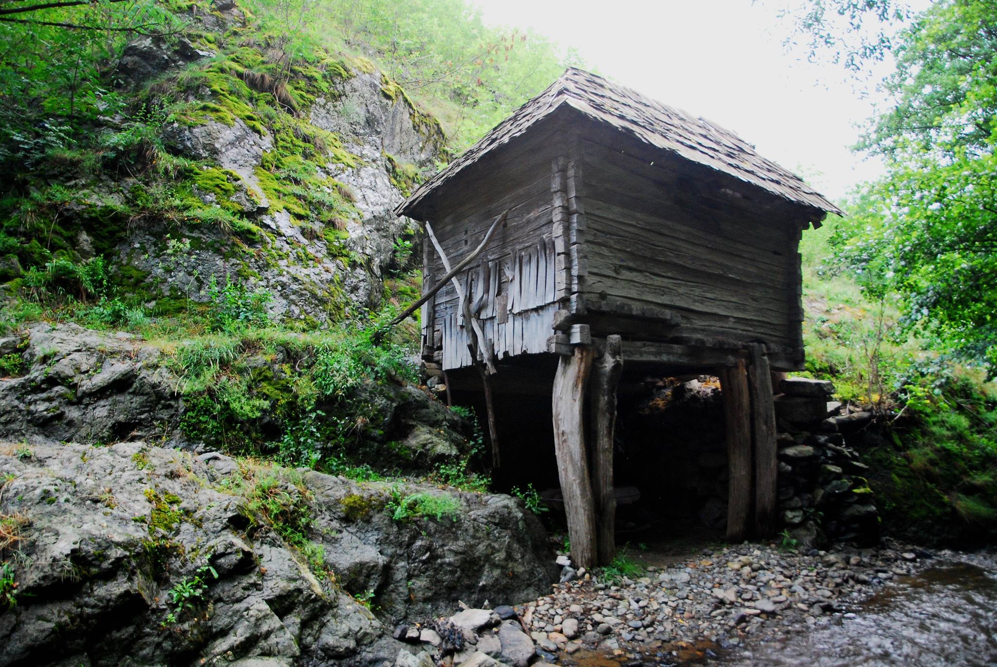 Ambulanța pentru Monumente Banat salvează cea mai veche moară de la Rudăria