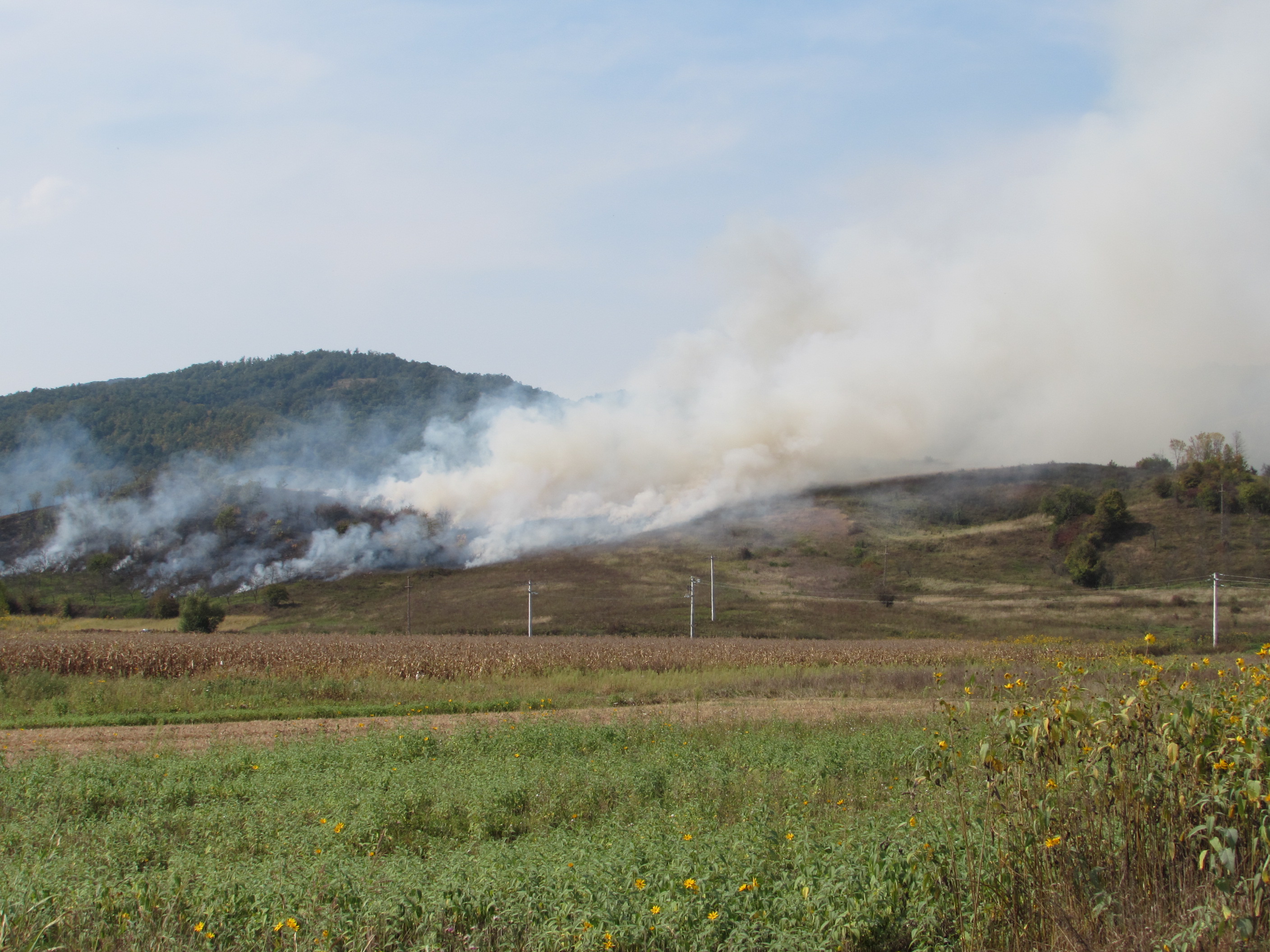 Mai multe incendii de vegetație uscată în Caraș-Severin. Fumul dens pune în pericol traficul