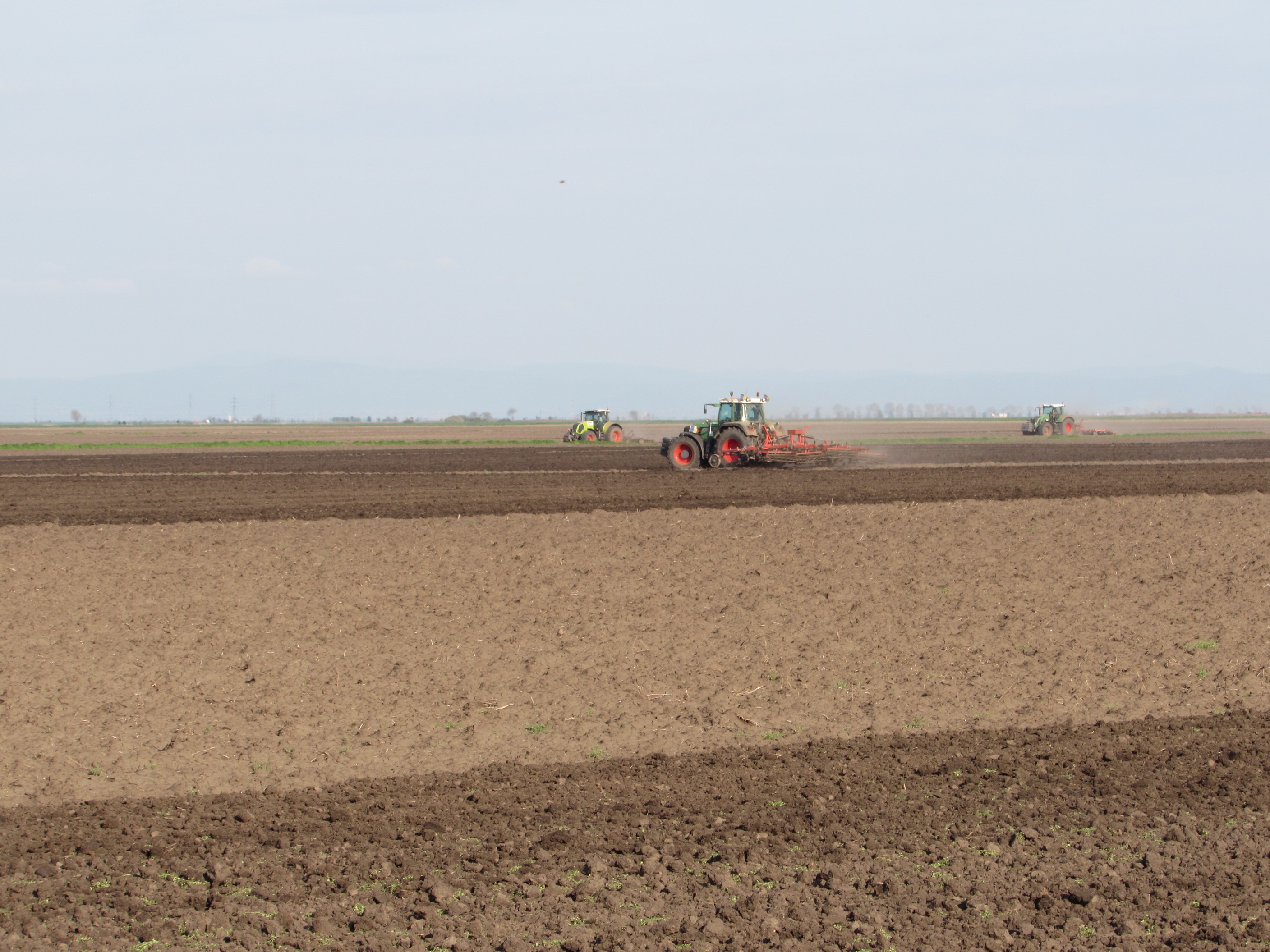 Ploile abundente au refăcut rezervele de apă din sol în Arad