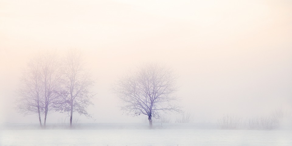 Mai abitir, despre sezonul hibernal