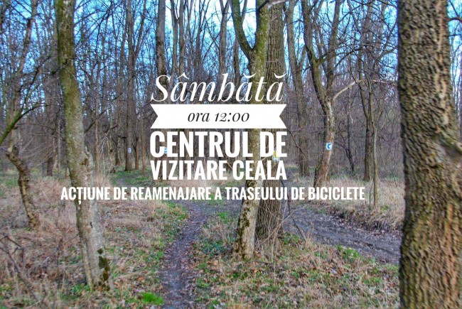 Se face curățenie pe un traseu pentru biciclete din Pădurea Ceala, plin de copaci doborâți