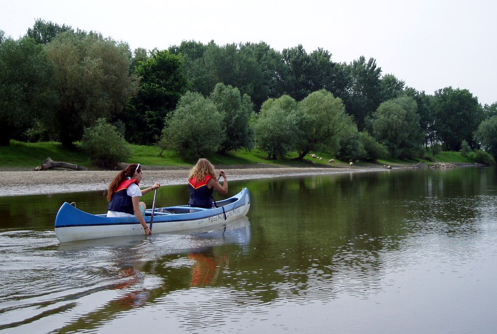 Investiție de 2,5 milioane de euro în Parcul Natural Lunca Mureșului