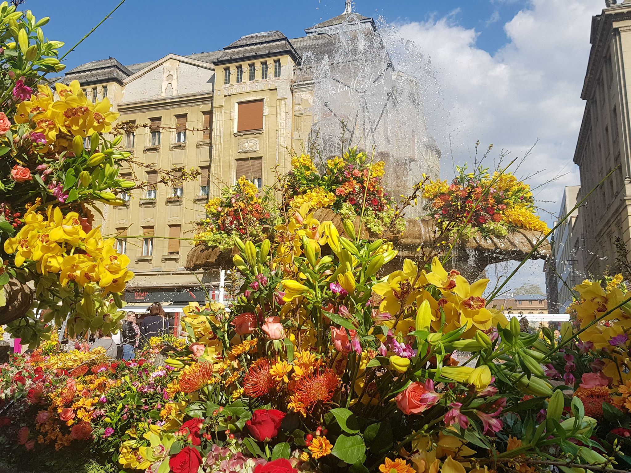 Festivalul Timfloralis se extinde. Va fi un exercițiu pentru anul 2021, anunță primarul Timișoarei