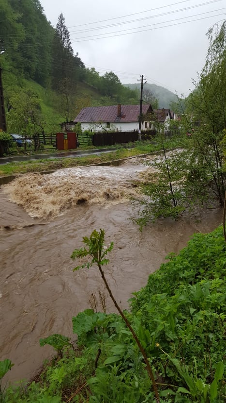 Cod roșu de inundații în Timiș și Caraș-Severin