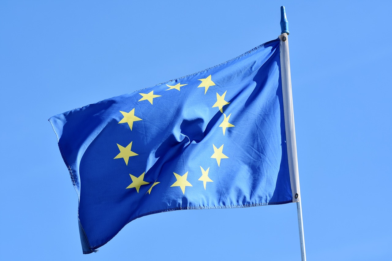 Europarlamentare2024| Alegătorii din 21 de ţări membre ale UE sunt chemaţi la urne