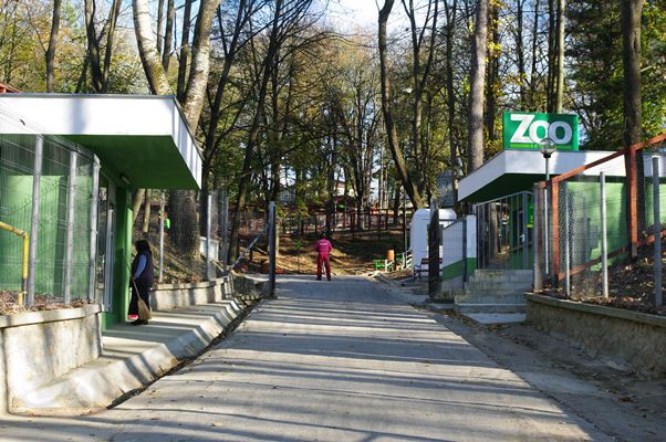 Demisie la Grădina Zoologică din Reșița după ce mai mulți copii și părinți au fost abandonați în furtună