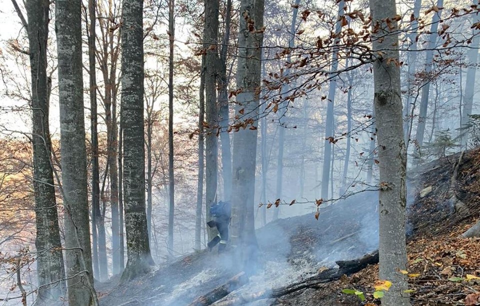 Incendiul din zona Cornereva, declarat lichidat