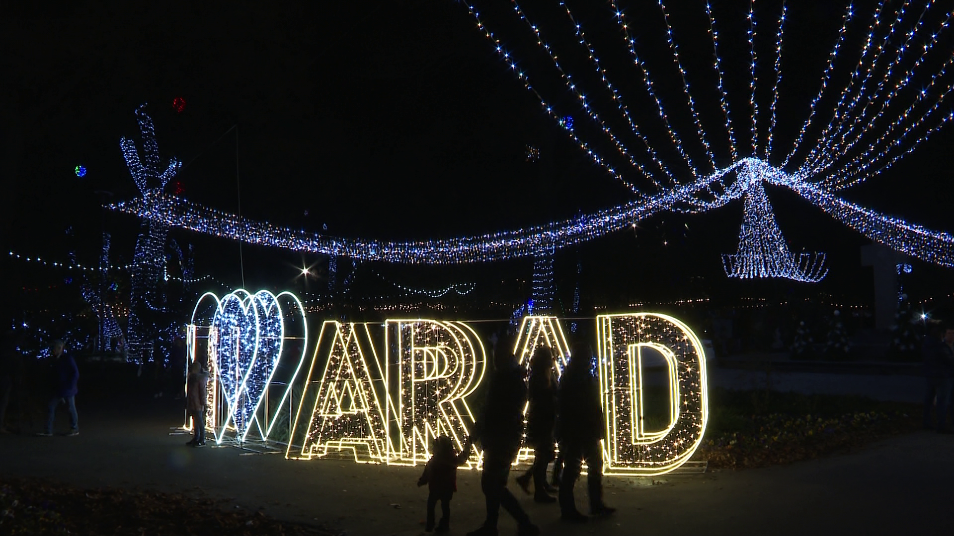 Iluminatul festiv, aprins în cadru restrâns la Arad