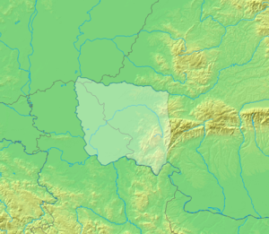 AUDIO / Republica Bănățeană a fost proclamată de un bolșevic în 1918