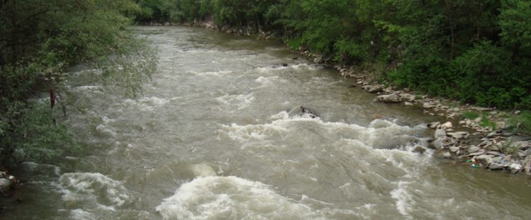 Cod roșu de inundații pe râul Jiu, în județul Hunedoara