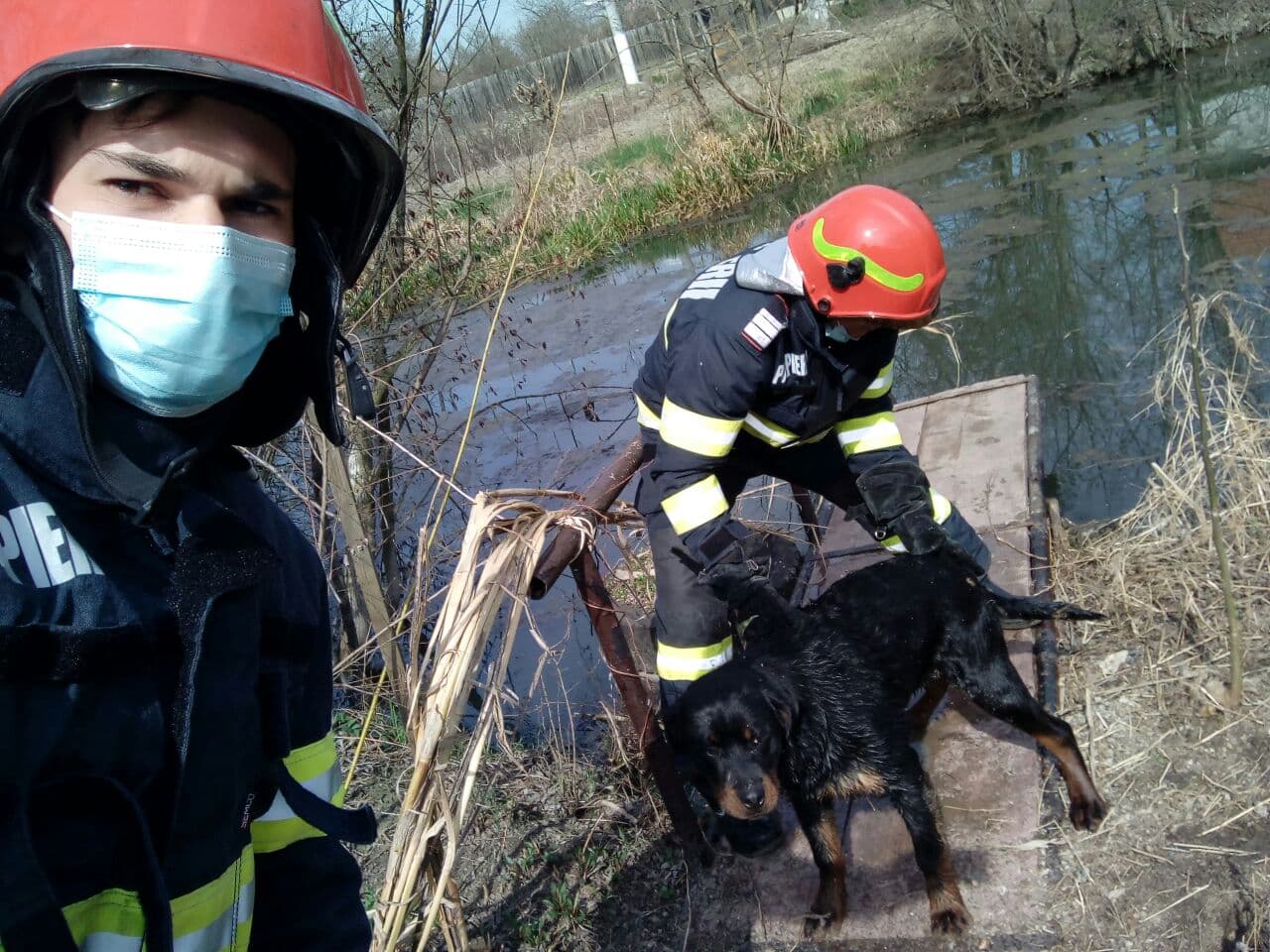 Cățel salvat de pompierii de la ISU Timiș