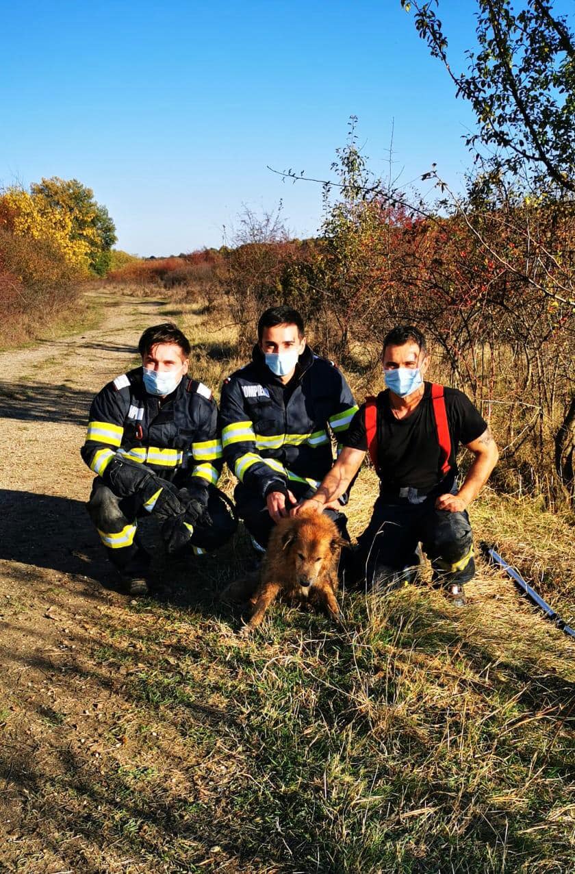 Suflet salvat de pompierii de la ISU Timiș