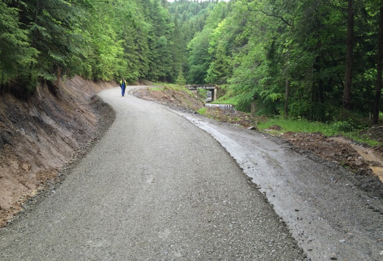 Drum forestier nou de 5 milioane de lei în județul Arad