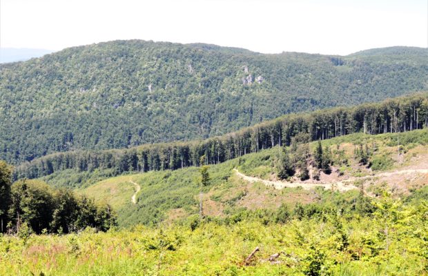 Ziua Parcului Naţional Semenic-Cheile Caraşului