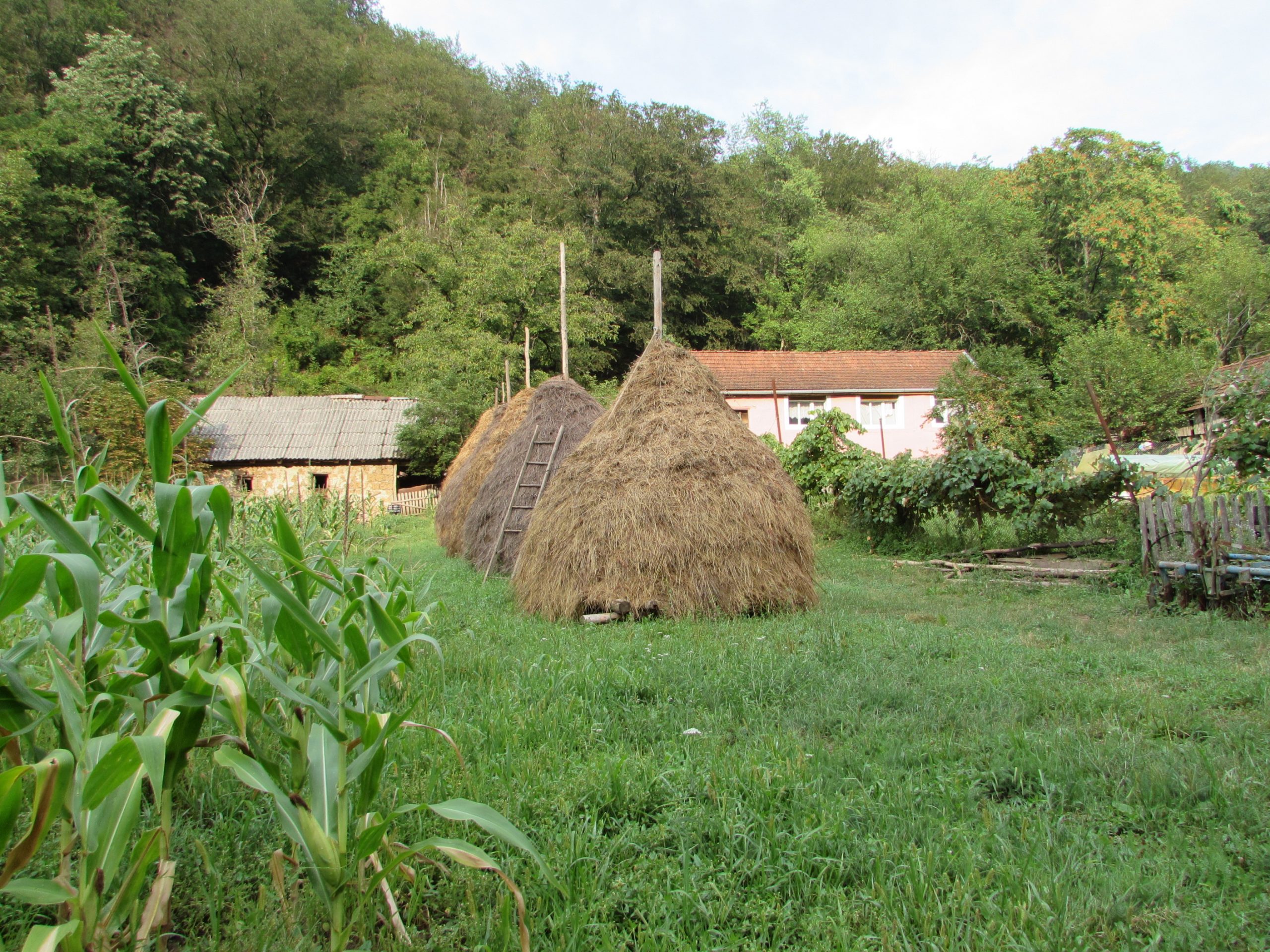 Diminețile satului, duminică, în Valea Almăjului