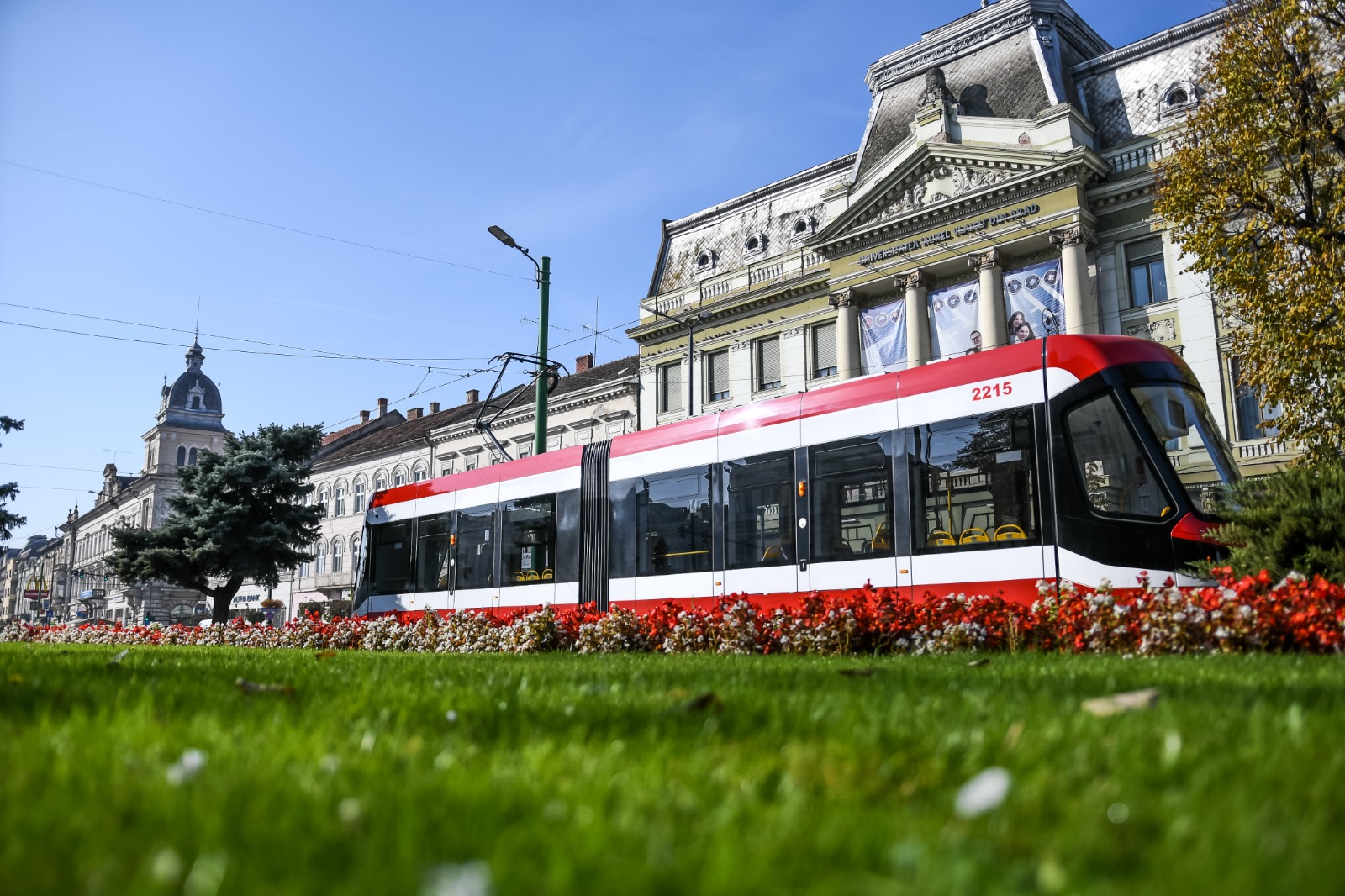 Economie la apă în Arad după înverzirea liniilor de tramvai cu Sedum