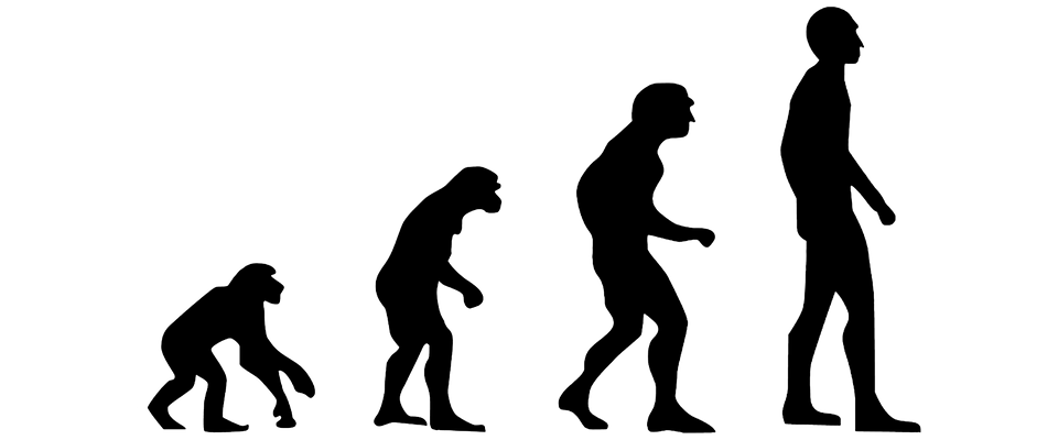 AUDIO / Trasul din maimuță al omului nu e chiar ideea lui Darwin