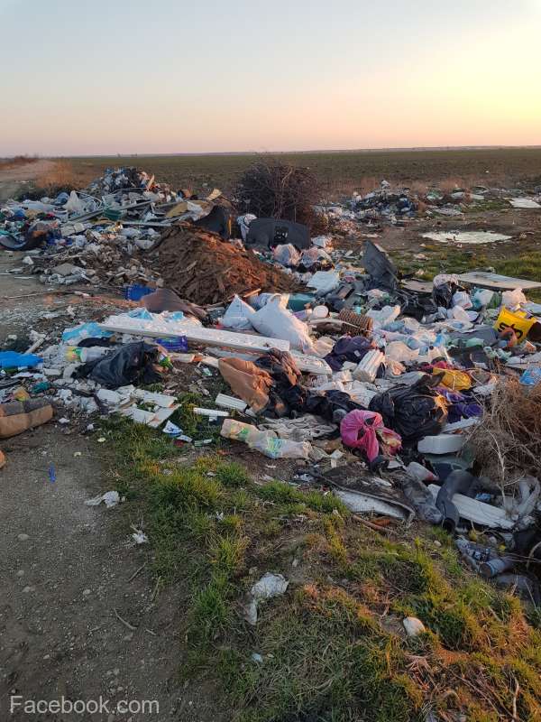 Cantităţi mari de gunoaie, găsite de comisarii de mediu abandonate lângă un drum din județul Arad