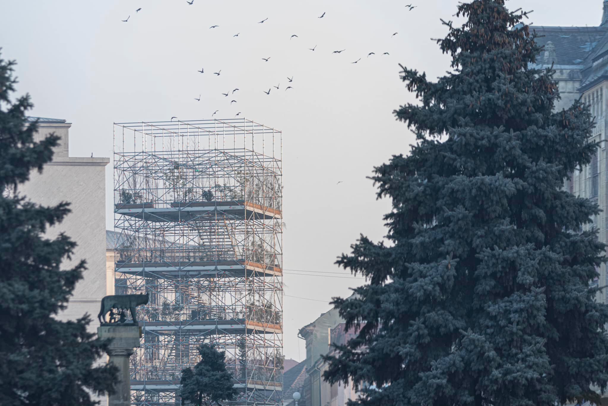 Peste 25.000 de persoane au urcat în grădina verticală din Piața Victoriei, în prima lună