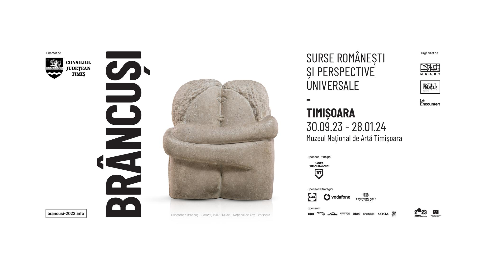 Expoziția „Brâncuși: surse românești și perspective universale”, la Muzeul Național de Artă Timișoara