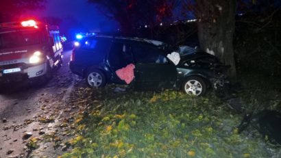 Accident mortal pe DN 69, în zona localităţii Sânandrei