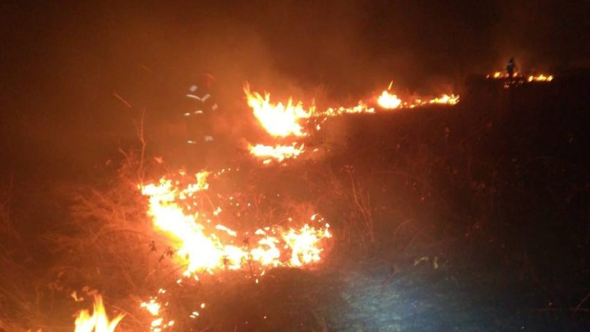 Peste 10 hectare de teren afectate de două incendii de vegetaţie uscată