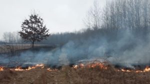 Peste 140 de hectare distruse de incendii în Timiș