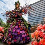 Festivalul Artei Florale la Iulius Town Timișoara / PROGRAM