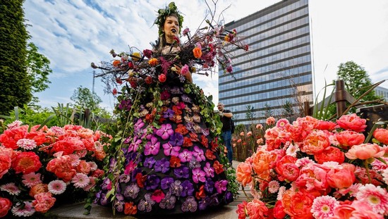 Festivalul Artei Florale la Iulius Town Timișoara / PROGRAM