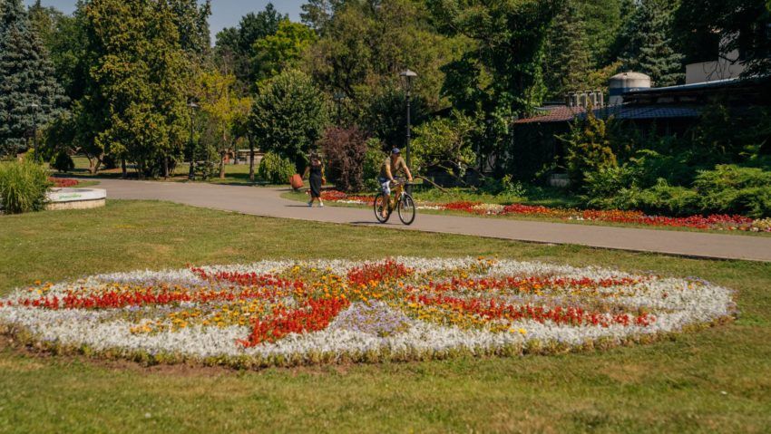 Spectacol floral în Parcul Botanic. Au fost sădite peste 40.000 de plante