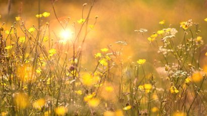 Avertizări meteo de caniculă la început de septembrie