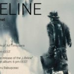 Finisajul expoziției „Lifeline” a artistului german Dieter Mammel, la  Timișoara