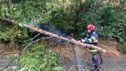 Copaci căzuţi și trafic feroviar blocat temporar în județul Hunedoara